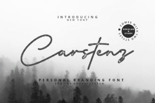 Carstenz: The Modern Script Font for Professional Web Design