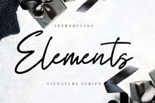 Elements: A Modern Script Font for Editorial Design