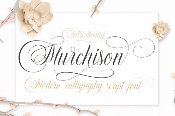 Murchison: The Bold Script Font for Modern Branding