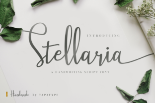 Stellaria: A Premium Script Handwritten Font for Chic Branding